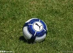 蚂蚁电竞发,磁轴键盘,响应速度,PG电子平台,PG电子官方网站,PG电子登录入口,PG电子app下载