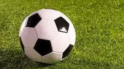 PG电子 产品 131646 2wt