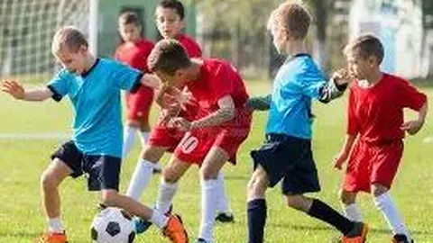 PG电子 资讯 132202 mfv