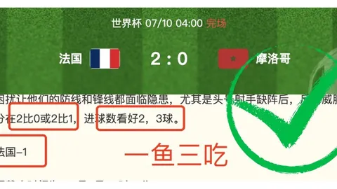 电子 095218 3